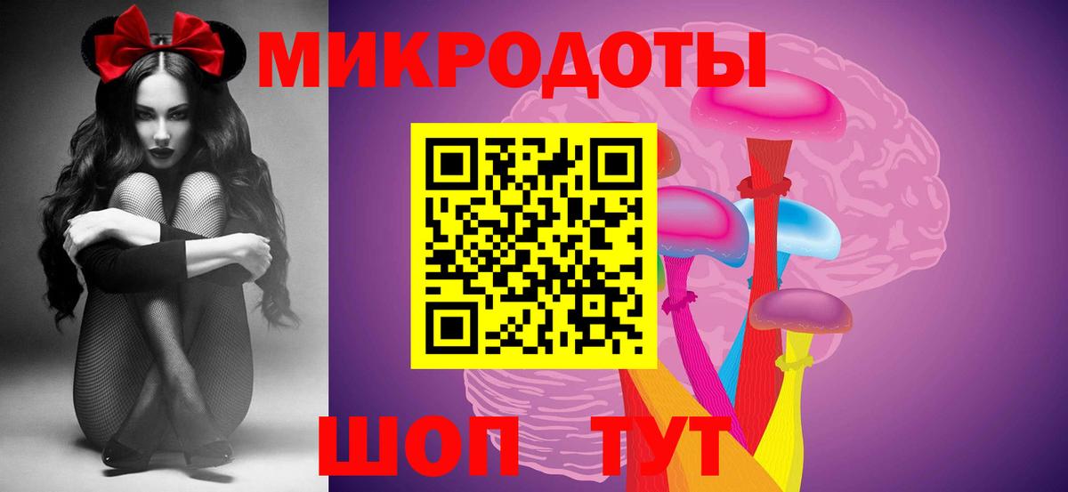 Галлюциногенные грибы Psilocybe Краснокаменск